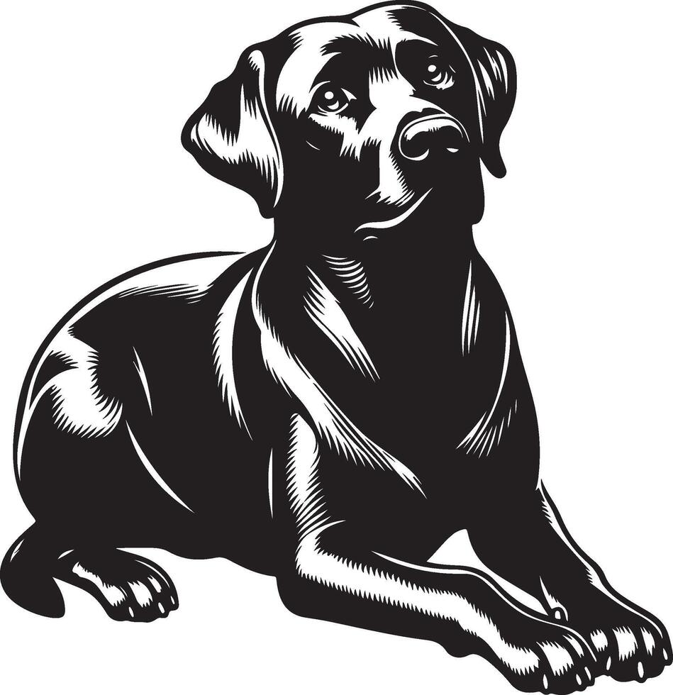 labrador retriever dog silhouette design,isolated on white background. vector