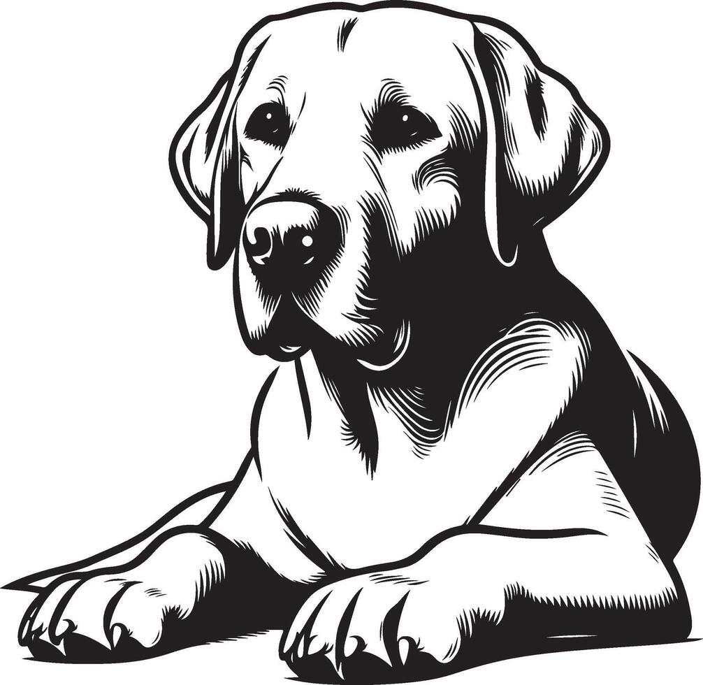 labrador retriever dog silhouette design,isolated on white background. vector