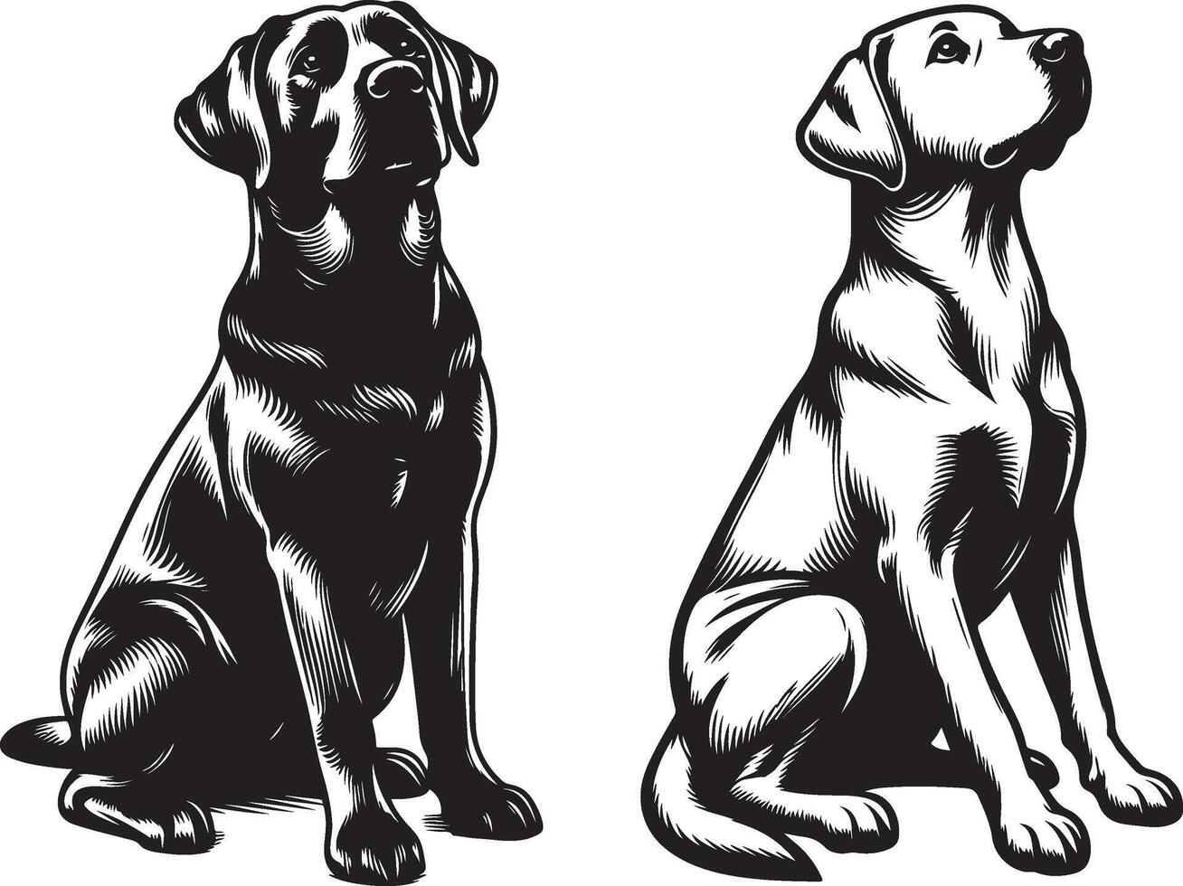 labrador retriever dog silhouette design,isolated on white background. vector