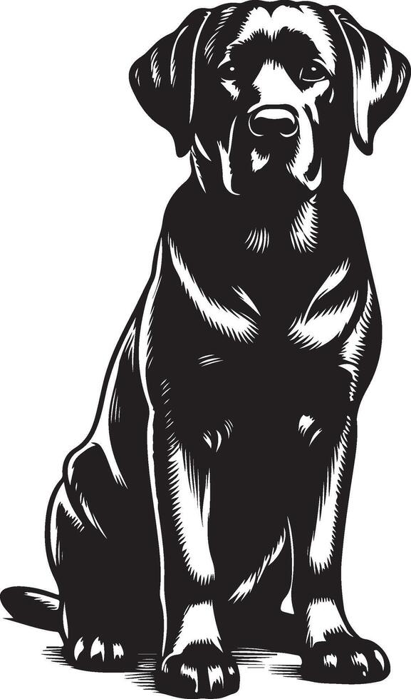 labrador retriever dog silhouette design,isolated on white background. vector