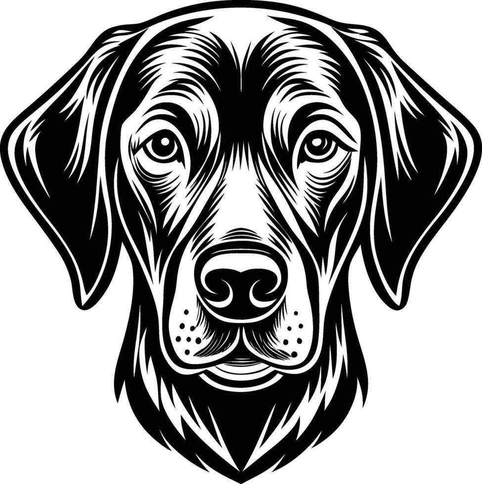 labrador retriever dog silhouette design,isolated on white background. vector