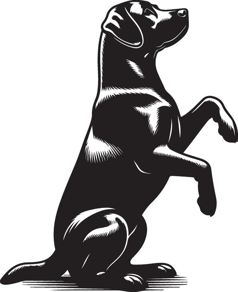 labrador retriever dog silhouette design,isolated on white background. vector