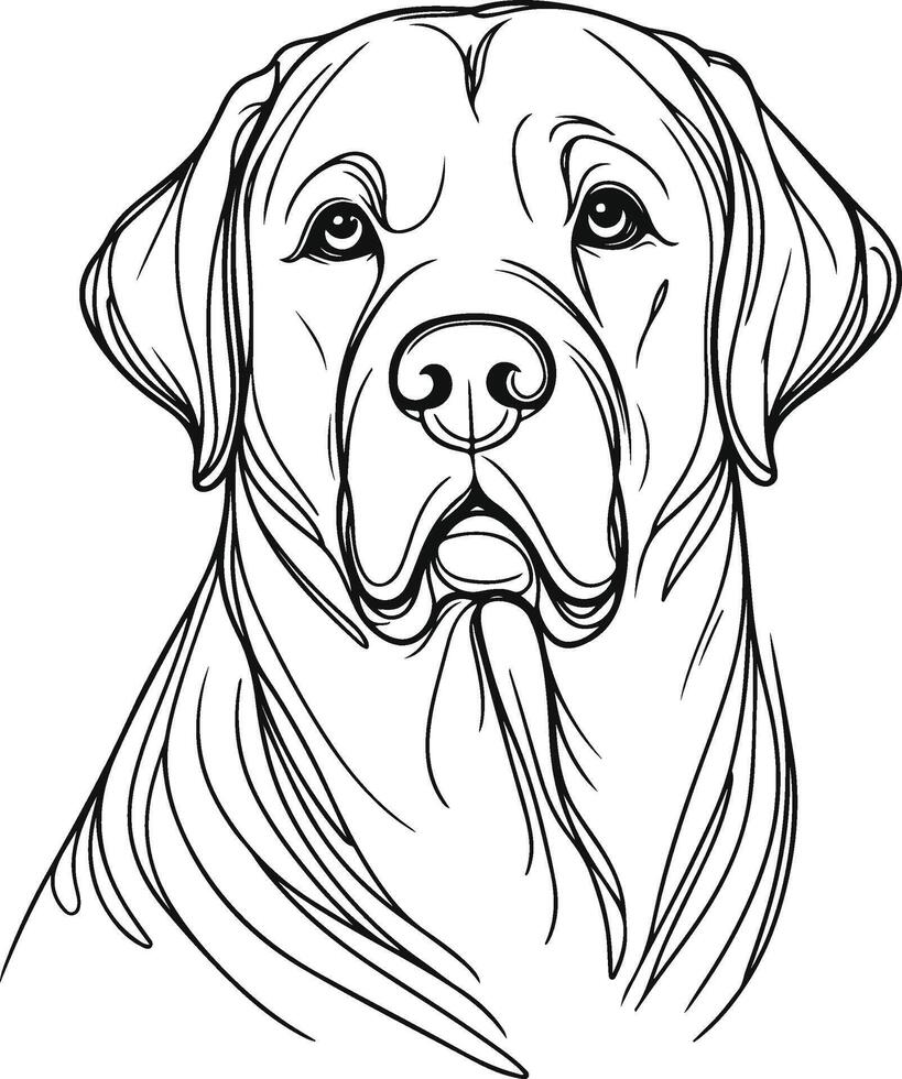 Labrador line art, Labrador line drawing, Labrador outline drawing,Labrador illustrations vector