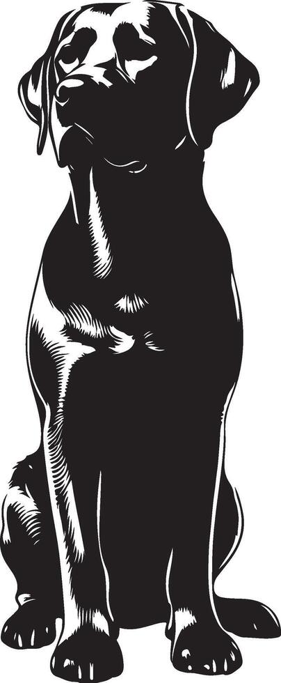 labrador retriever dog silhouette design,isolated on white background. vector