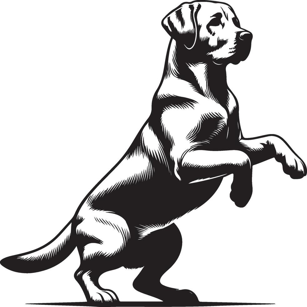 labrador retriever dog silhouette design,isolated on white background. vector