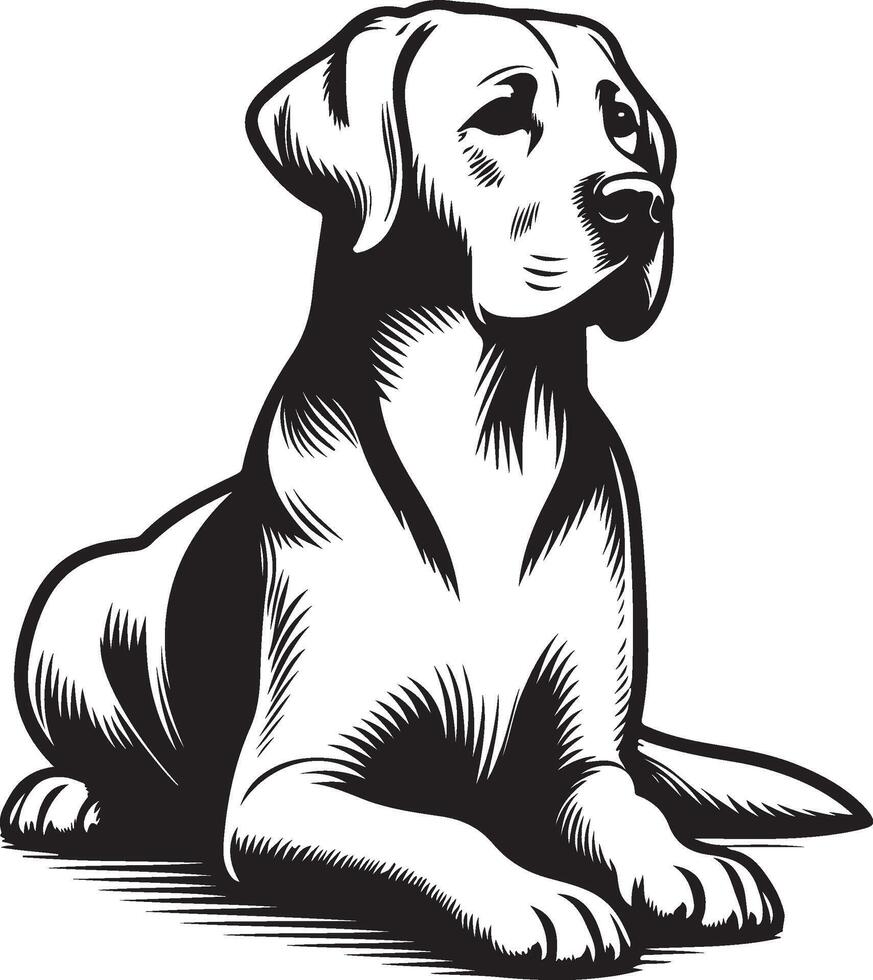 labrador retriever dog silhouette design,isolated on white background. vector