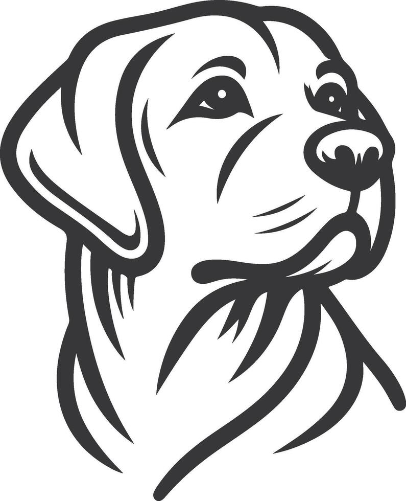 Labrador line art, Labrador line drawing, Labrador outline drawing,Labrador illustrations vector