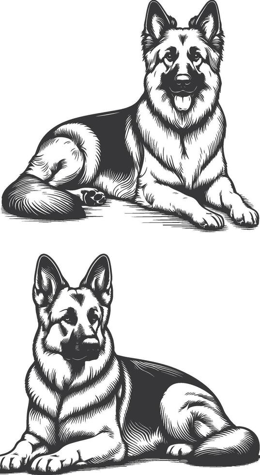 German Shepherd Dog Line art Contour illustration Continuous line drawing. vector