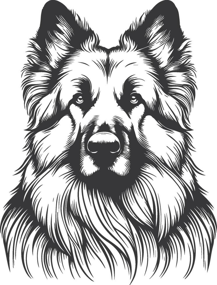 German Shepherd Dog Line art Contour illustration Continuous line drawing. vector