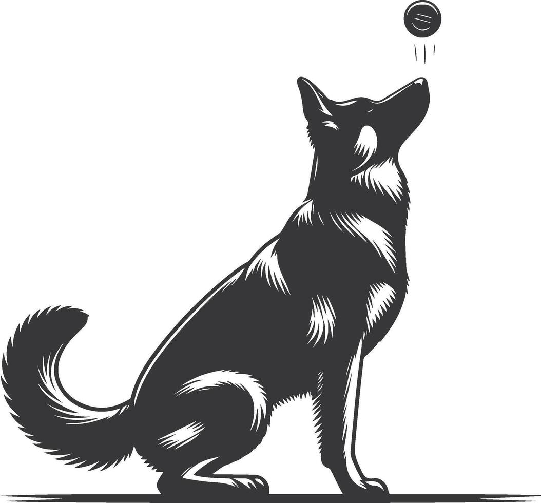 German shepherd dog in different poses on a white background objects silhouette illustration. vector