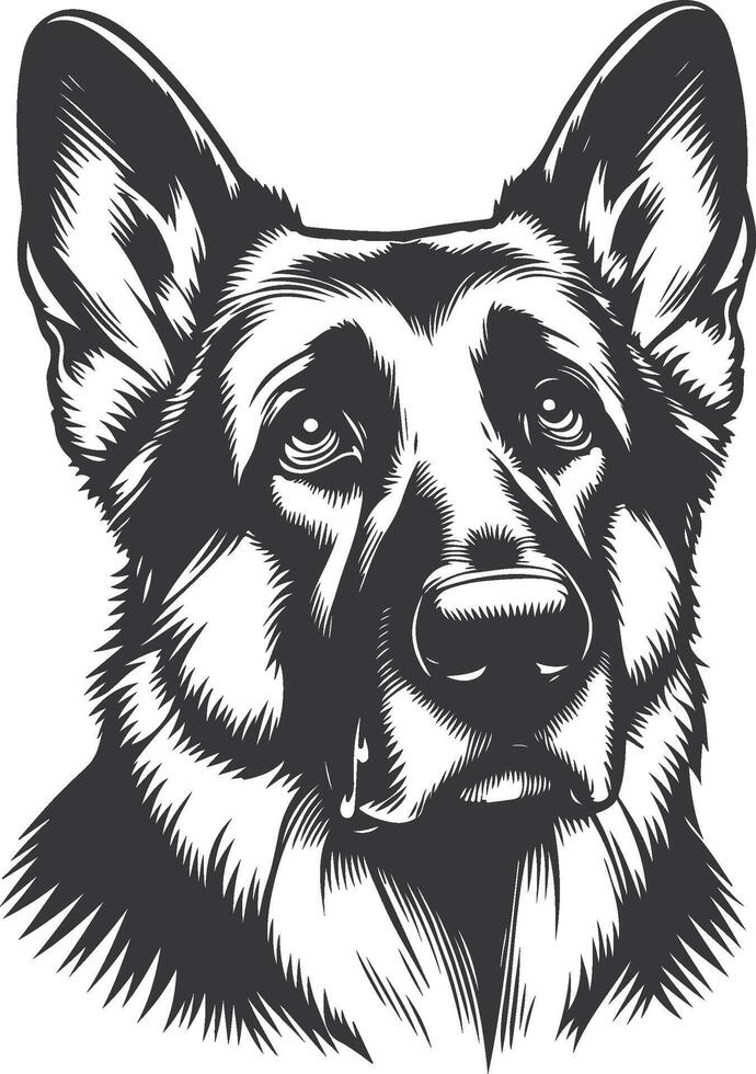 German shepherd dog in different poses on a white background objects silhouette illustration. vector