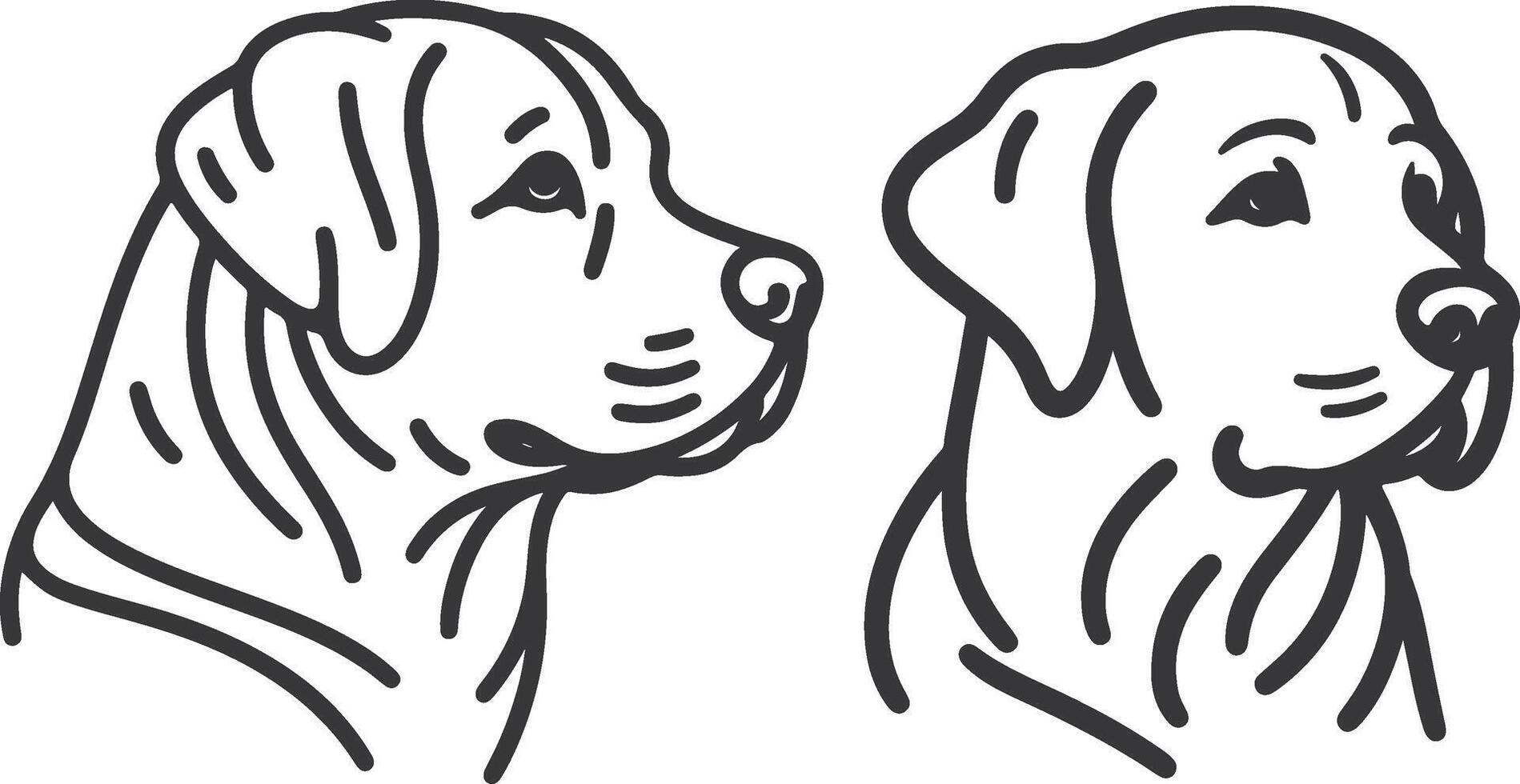 Labrador line art, Labrador line drawing, Labrador outline drawing,Labrador illustrations vector