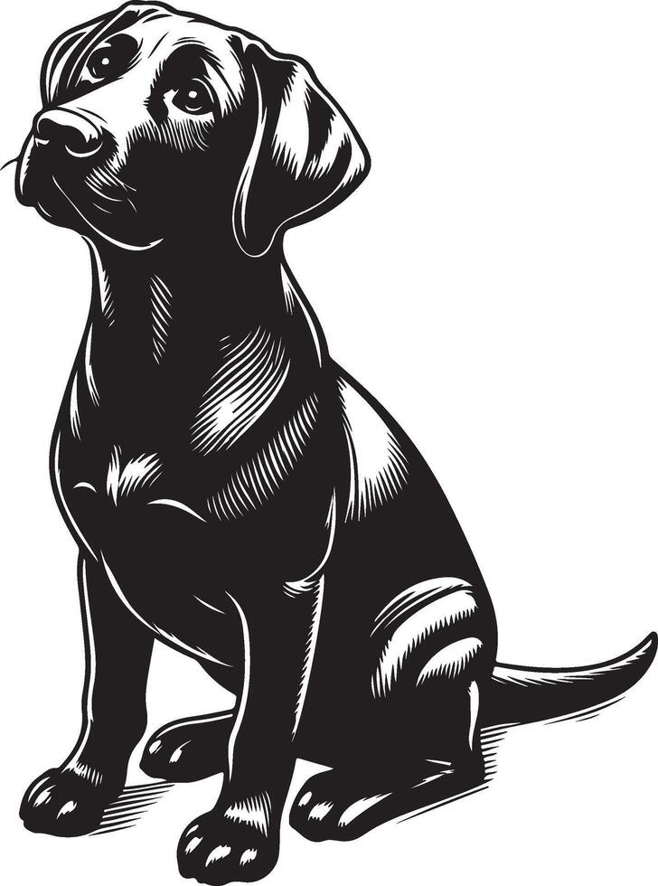 labrador retriever dog silhouette design,isolated on white background. vector