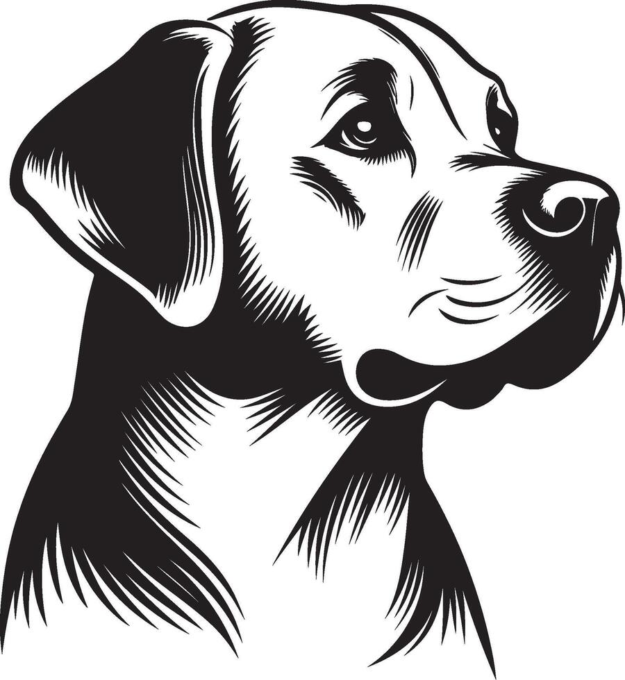 labrador retriever dog silhouette design,isolated on white background. vector