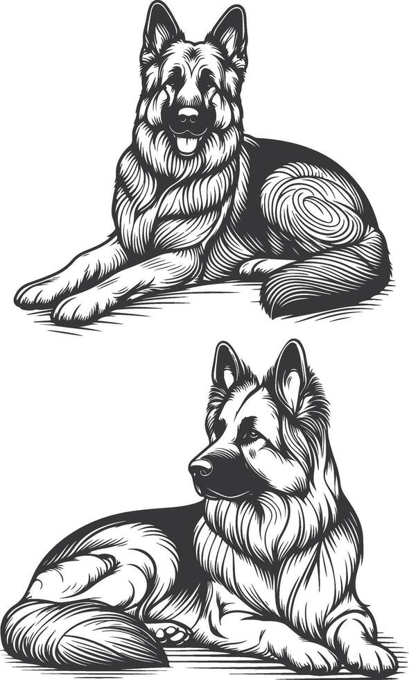 German Shepherd Dog Line art Contour illustration Continuous line drawing. vector