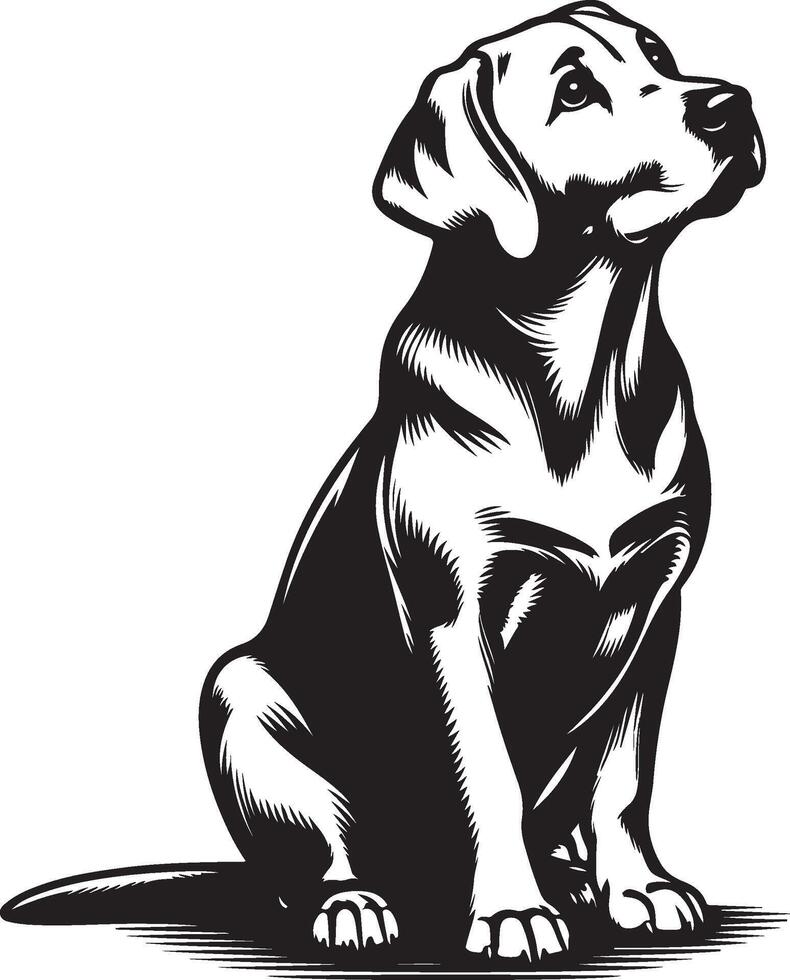 labrador retriever dog silhouette design,isolated on white background. vector