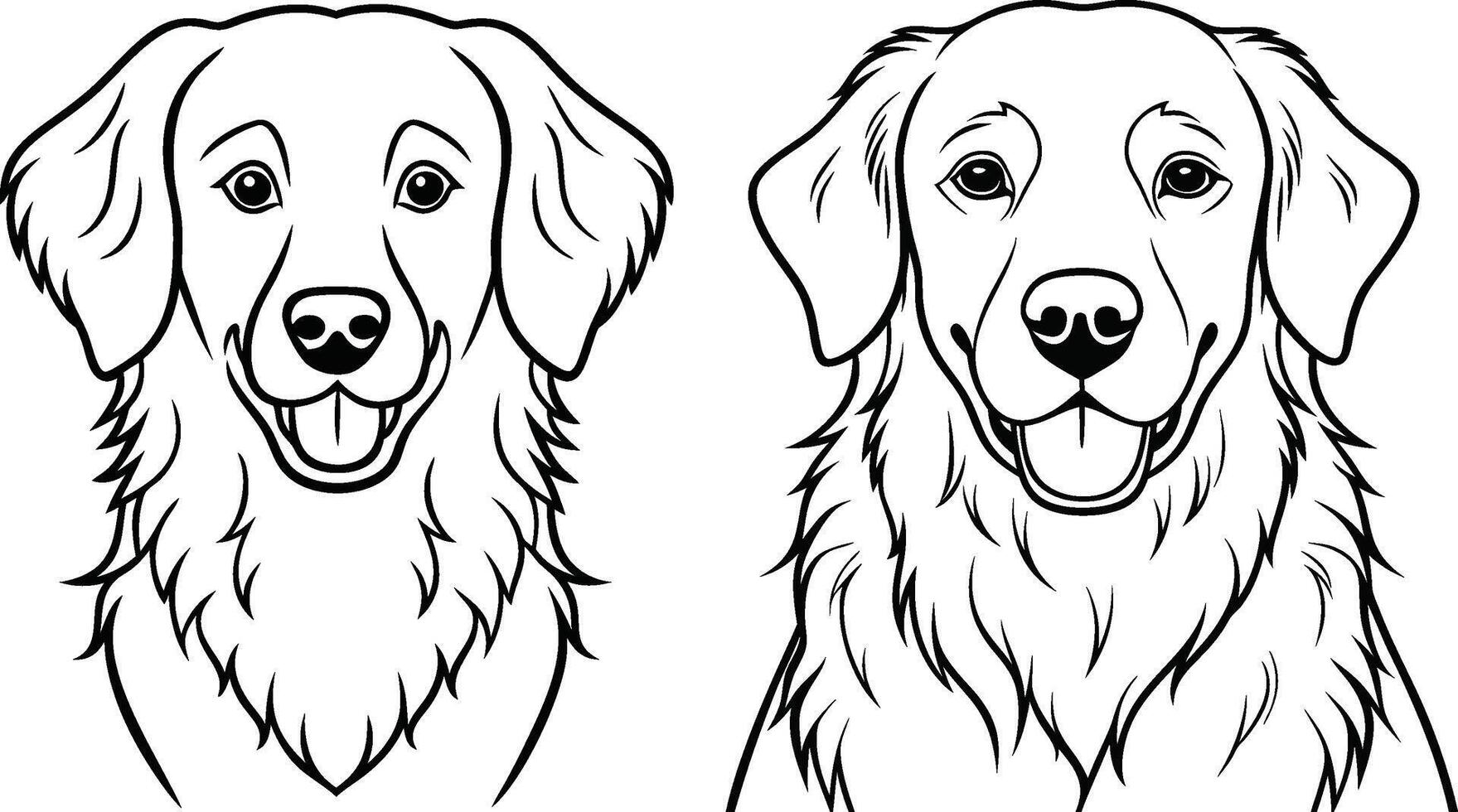 Golden Retriever dog breed animal line art sketch outline vector