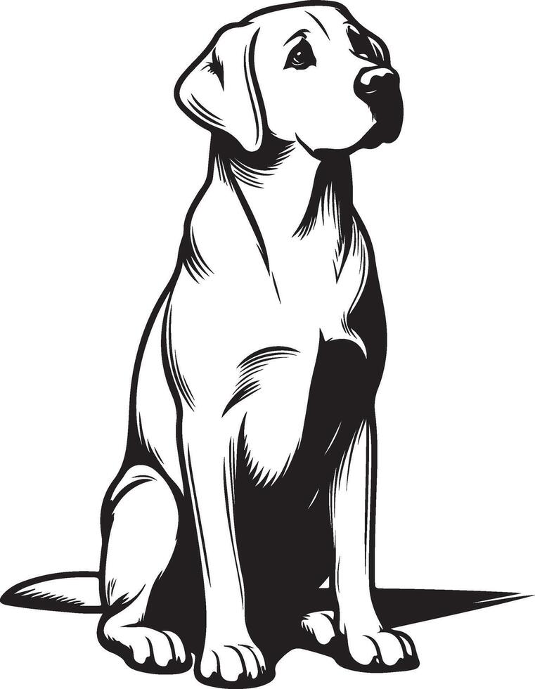 labrador retriever dog silhouette design,isolated on white background. vector