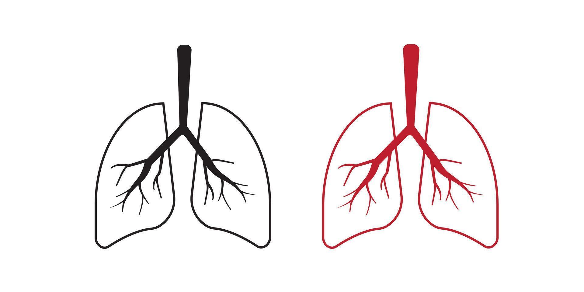 Lungs Icon Thin Line . Health and Medicine vector