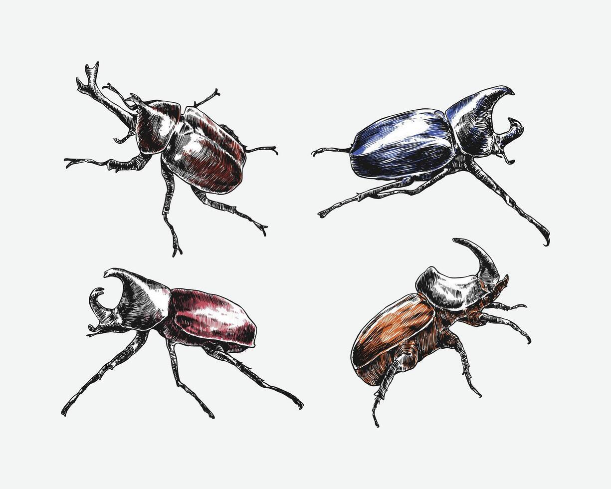 Set of engrave rhinoceros beetle. Different pose, action. Isolated on white background. Colorful illustration. vector