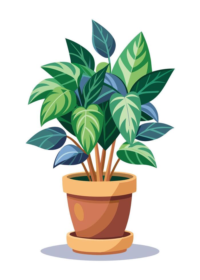 Indoor Plant art on white background vector