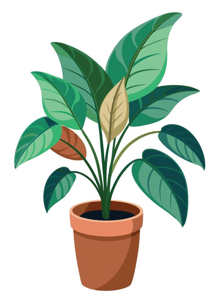 Indoor Plant art on white background vector