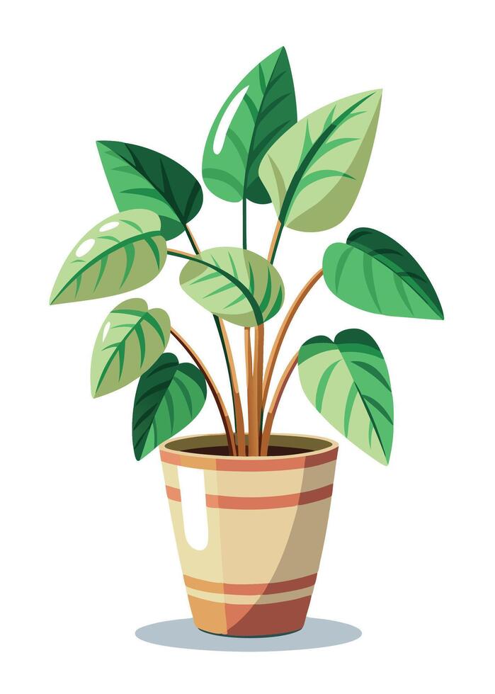 Indoor Plant art on white background vector