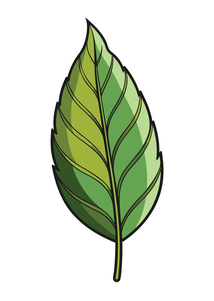 art of Leaf drawing Abstract minimal flat art vector