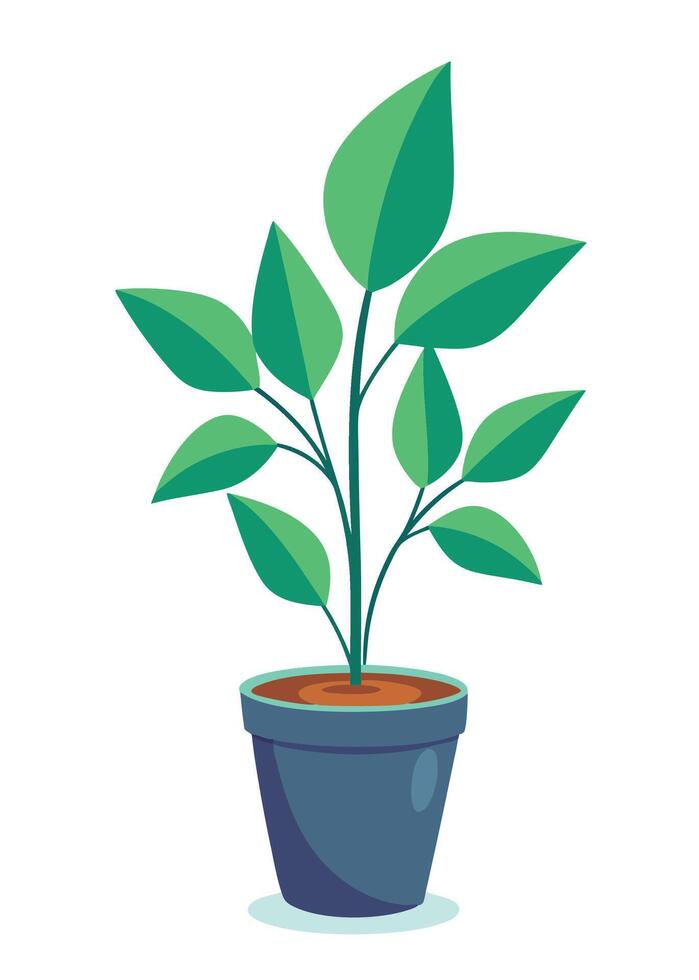 Indoor Plant art on white background vector