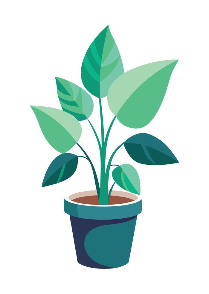 Indoor Plant art on white background vector