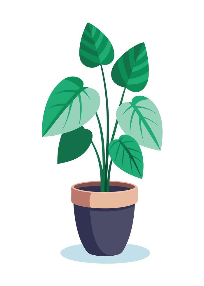 Indoor Plant art on white background vector