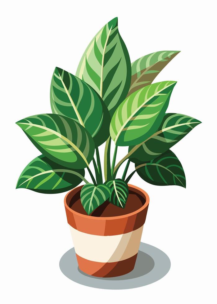 Indoor Plant art on white background vector
