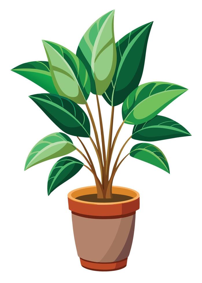 Indoor Plant art on white background vector
