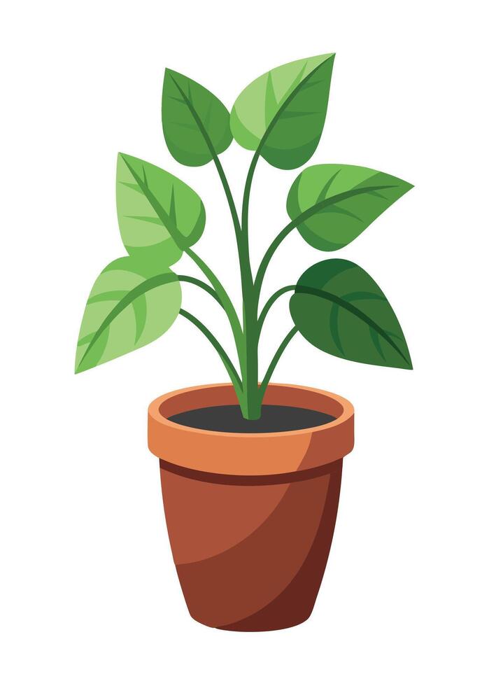 Indoor Plant art on white background vector