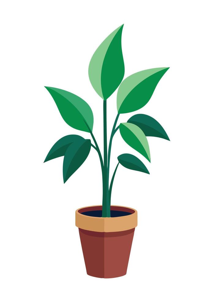 Indoor Plant art on white background vector