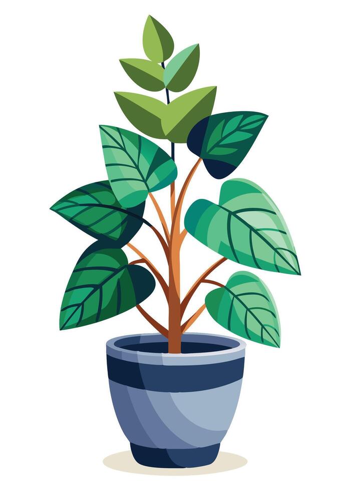 Indoor Plant art on white background vector