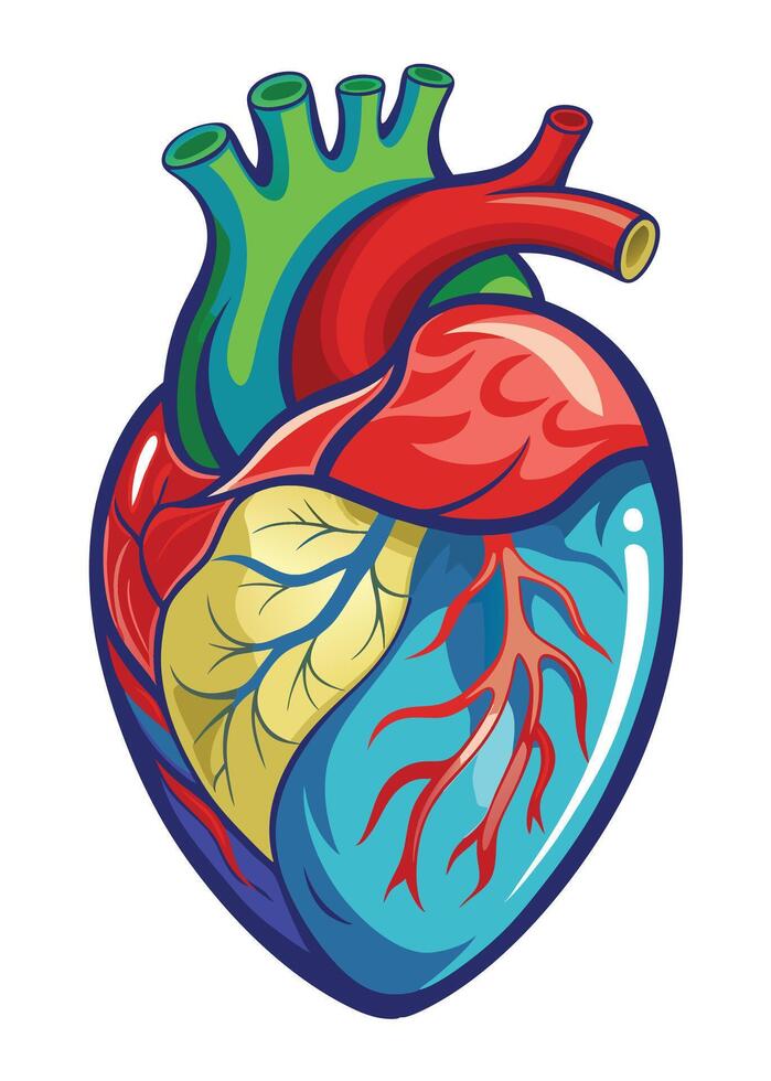 art of Human heart drawing Abstract minimal flat art vector