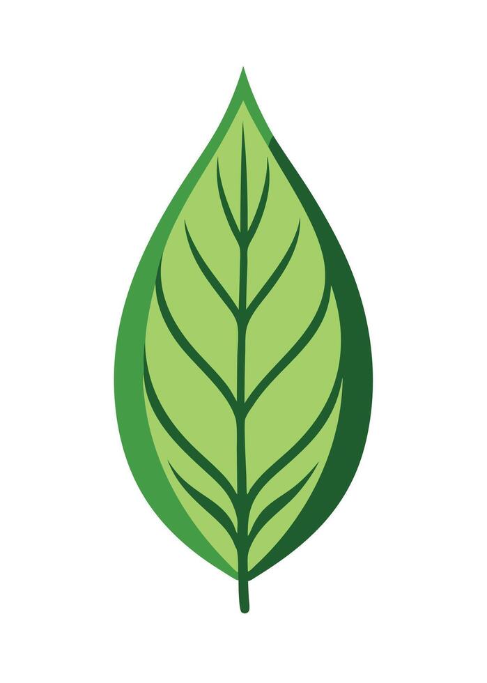 art of Leaf drawing Abstract minimal flat art vector