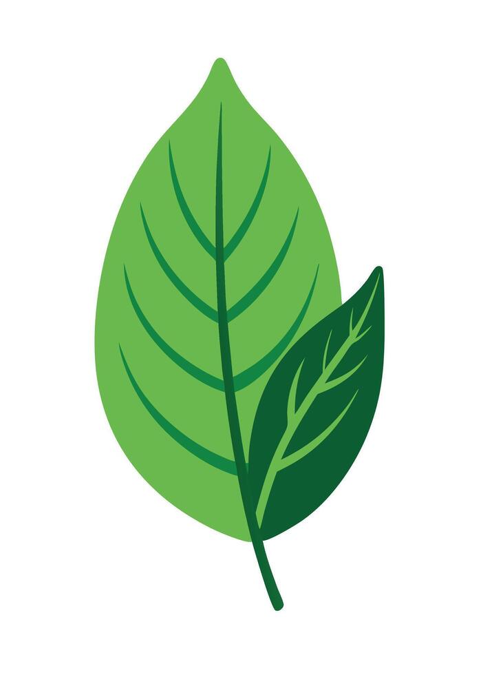 art of Leaf drawing Abstract minimal flat art vector