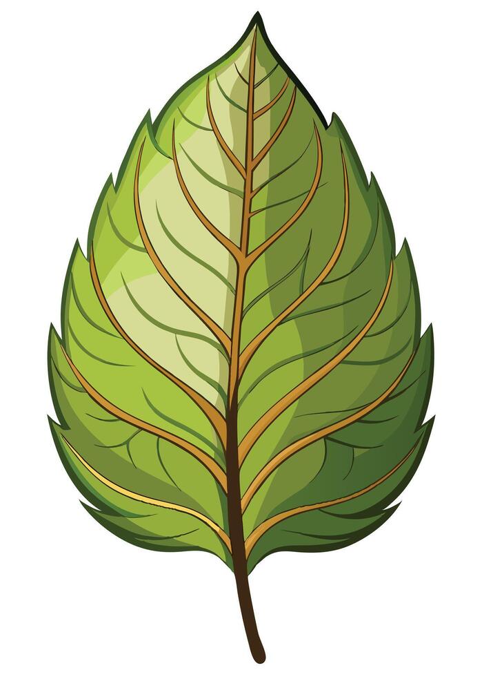 art of Leaf drawing Abstract minimal flat art vector
