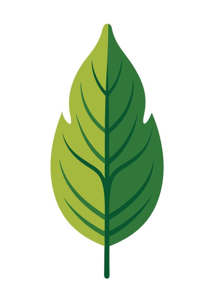 art of Leaf drawing Abstract minimal flat art vector