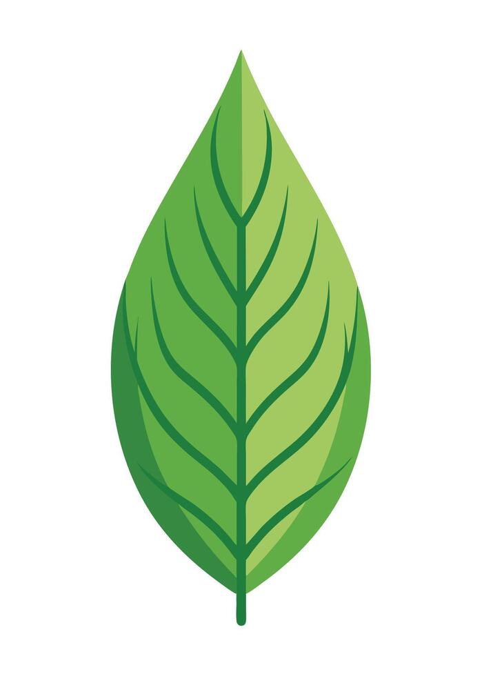 art of Leaf drawing Abstract minimal flat art vector