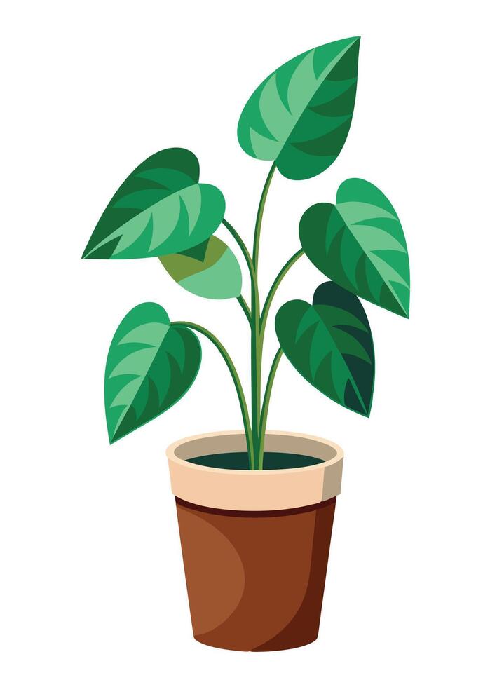 Indoor Plant art on white background vector