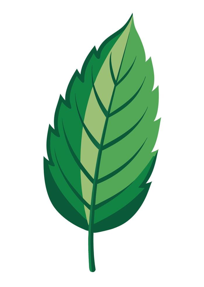 art of Leaf drawing Abstract minimal flat art vector