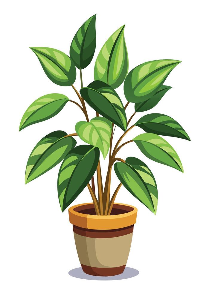 Indoor Plant art on white background vector