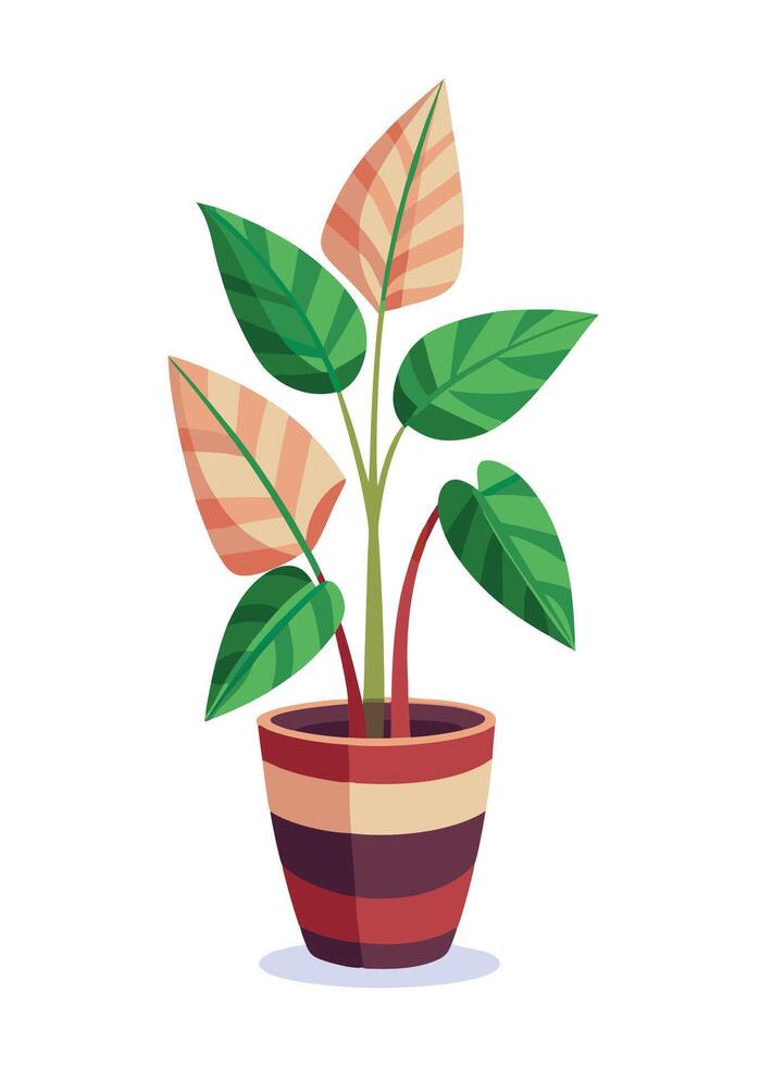 Indoor Plant art on white background vector