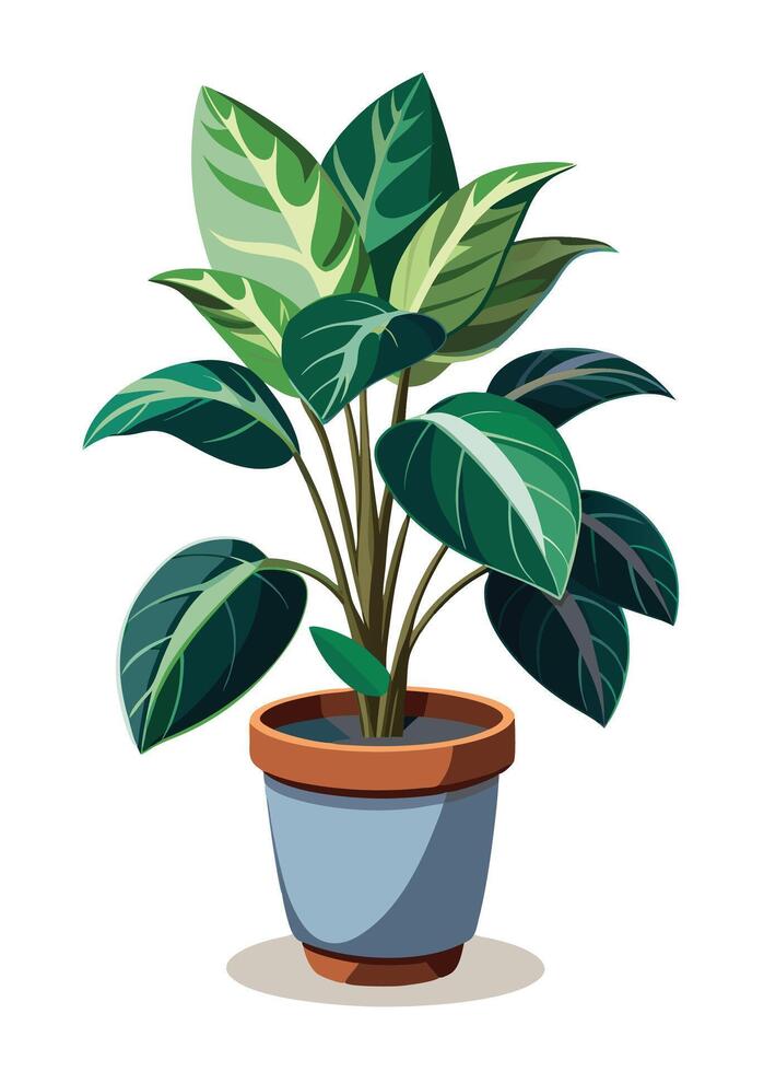 Indoor Plant art on white background vector