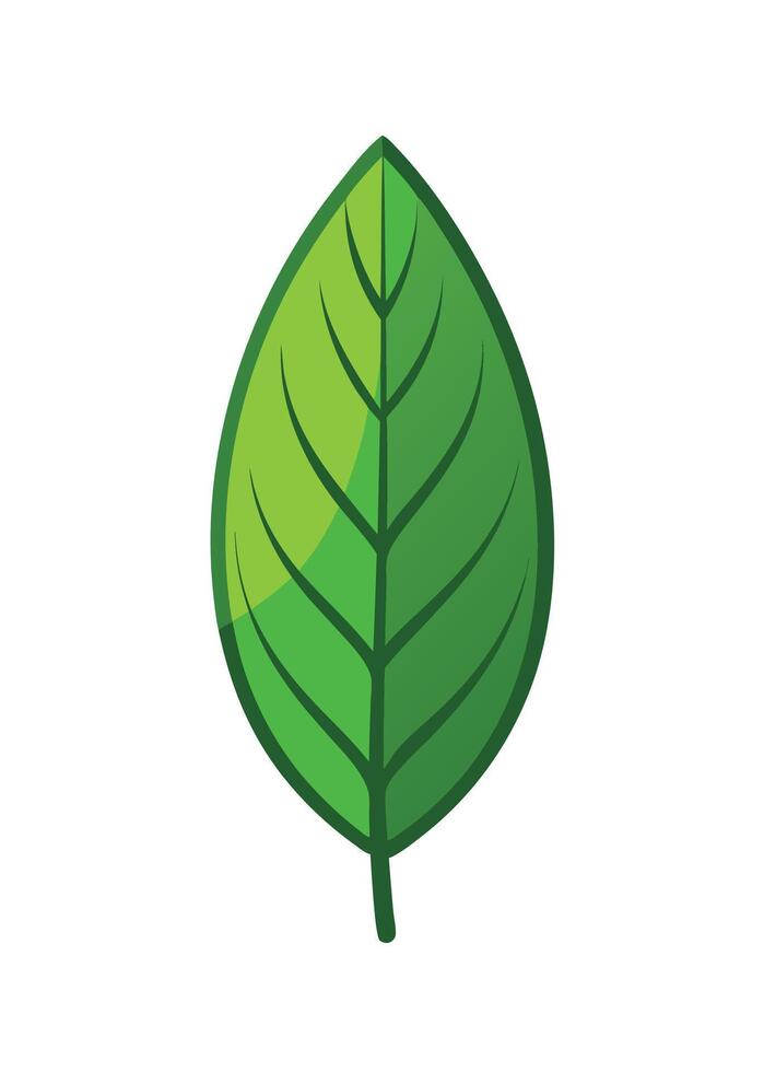 art of Leaf drawing Abstract minimal flat art vector