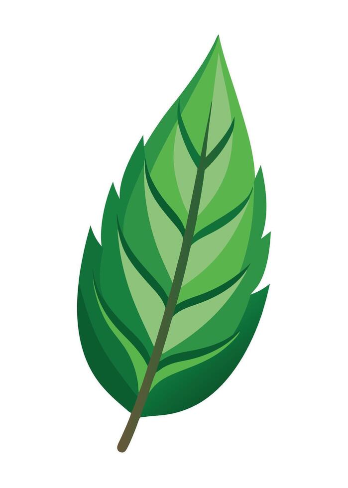 art of Leaf drawing Abstract minimal flat art vector