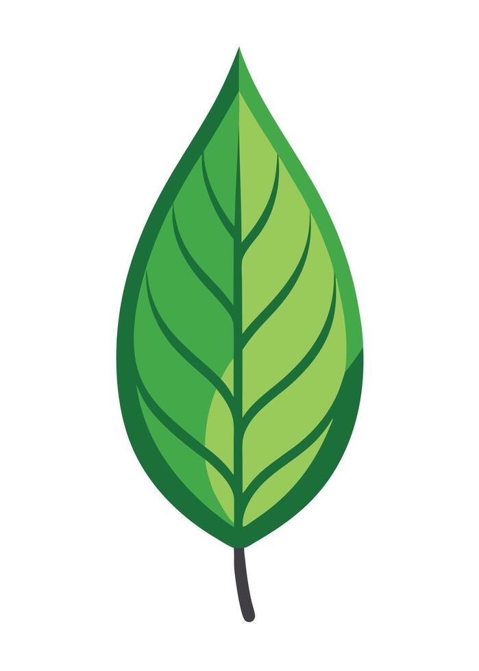 art of Leaf drawing Abstract minimal flat art vector